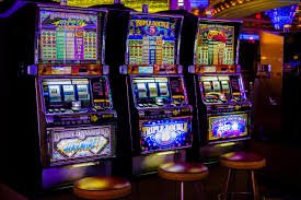mmraja platform dashboard showing live dealer table, sportsbook markets, and slot game interface